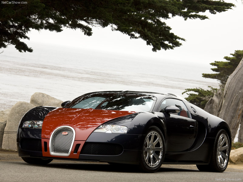 Bugatti-Veyron_Fbg_par_Hermes_2009_800x600_wallpaper_04.jpg
